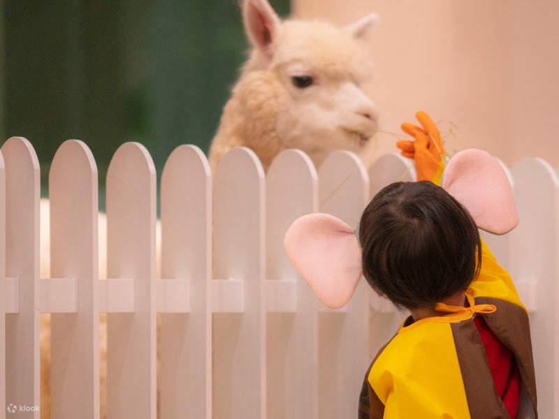 lollypet萌寵樂園 | 中航城君尚店